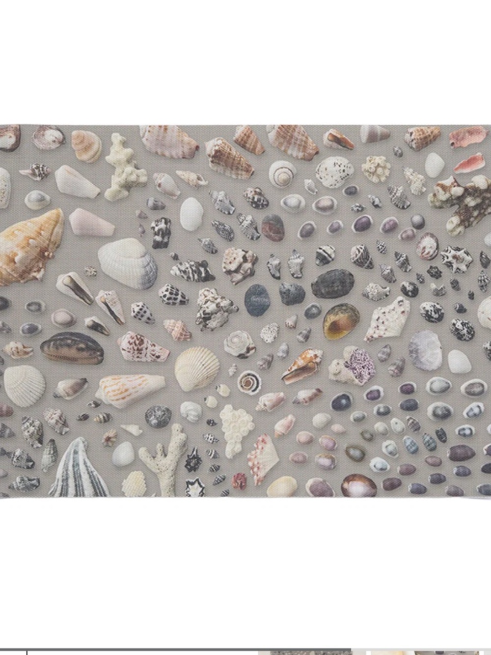 12 Chilewich seashell placemats, NWT